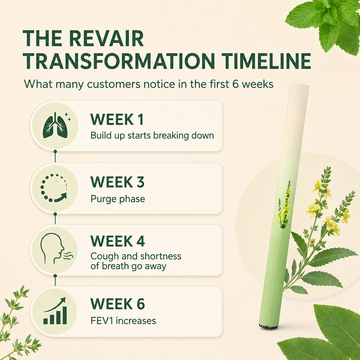 Revair™ Mullein Purifier MAIN