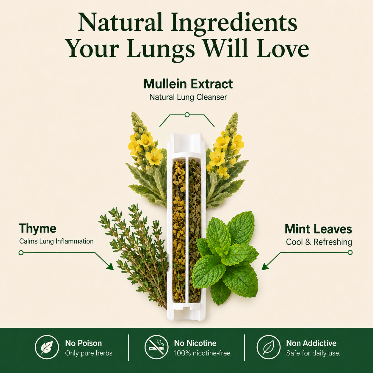 Revair™ Mullein Purifier MAIN
