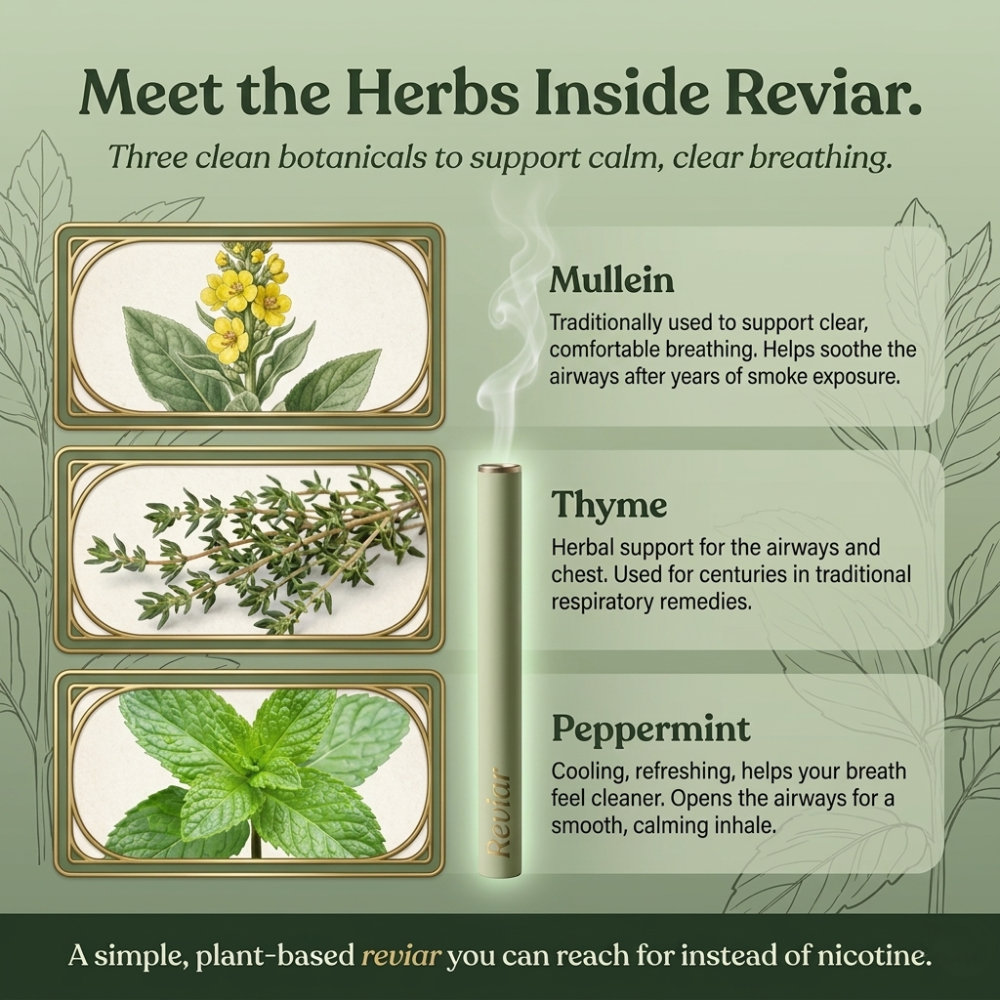 Revair™ Mullein Purifier Smokers