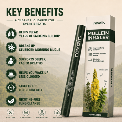 Revair™ Mullein Purifier MAIN