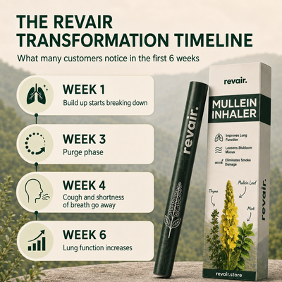 Revair™ Mullein Purifier MAIN
