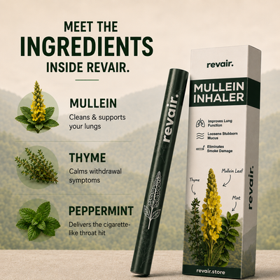 Revair™ Mullein Inhaler Smokers