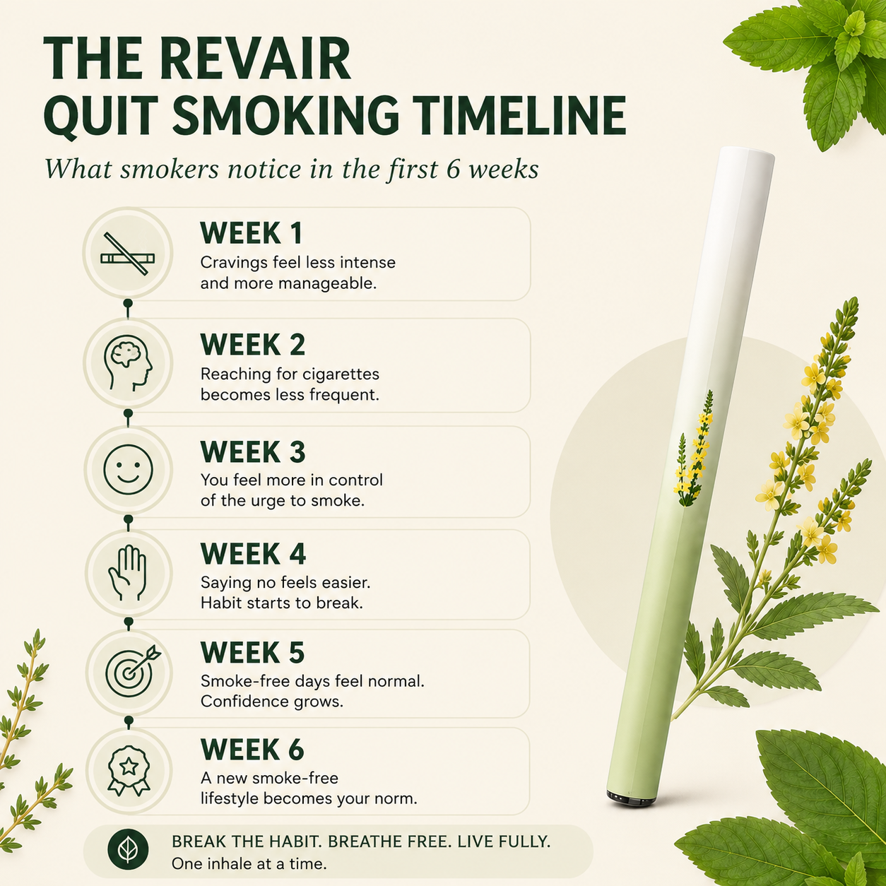 Revair™ Mullein Purifier Smokers